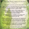 The Tiger Moth Spirit eBook - Image 2